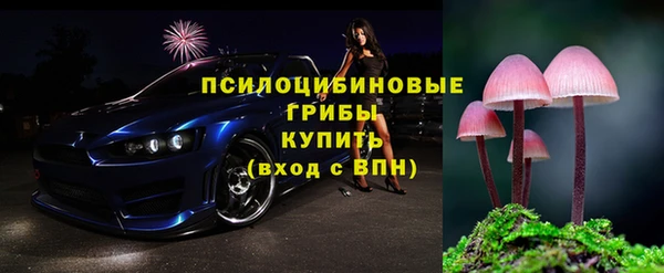 прущие грибы Тихорецк