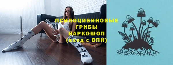 спиды Рославль
