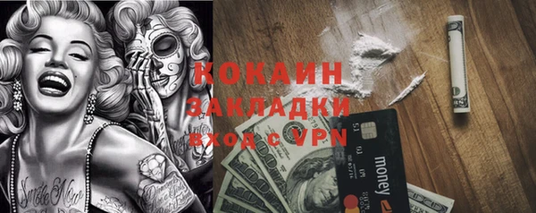 гидропоника Гусиноозёрск