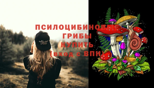 молекула духа Тихвин