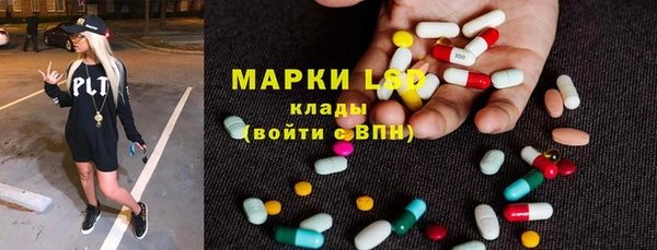 гидропоника Гусиноозёрск