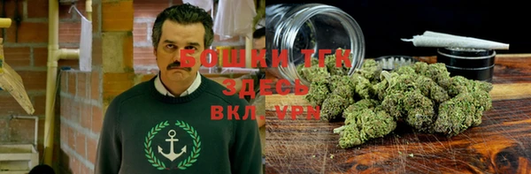 2c-b Гусь-Хрустальный