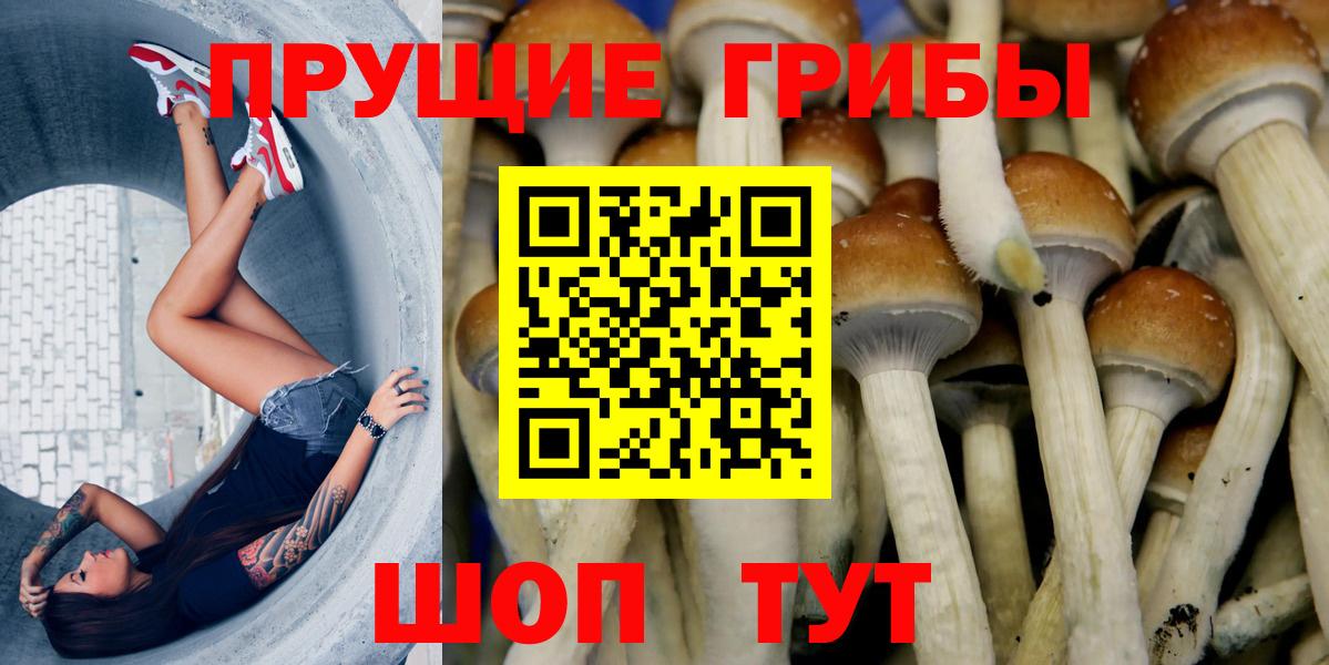Дальнереченск  Псилоцибиновые грибы Magic Shrooms  Вход с VPN 